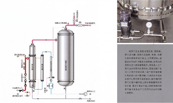 純蒸汽發(fā)生器設(shè)備圖片